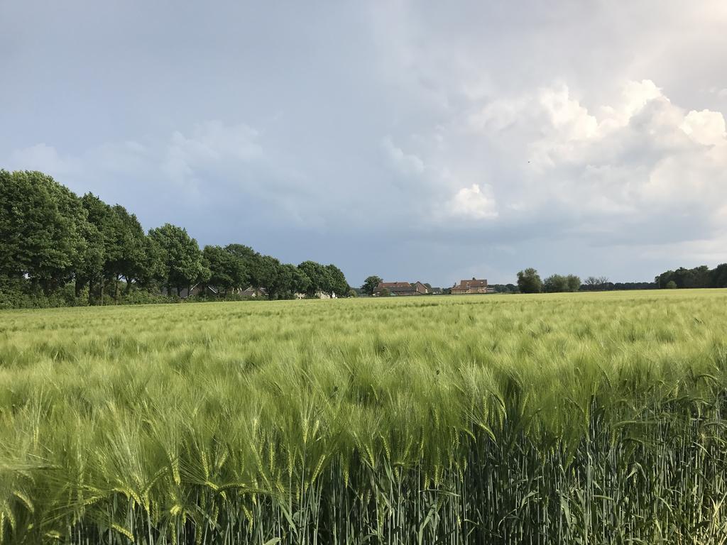 Appartementen De Zegelskoel Heijenrath Exteriör bild