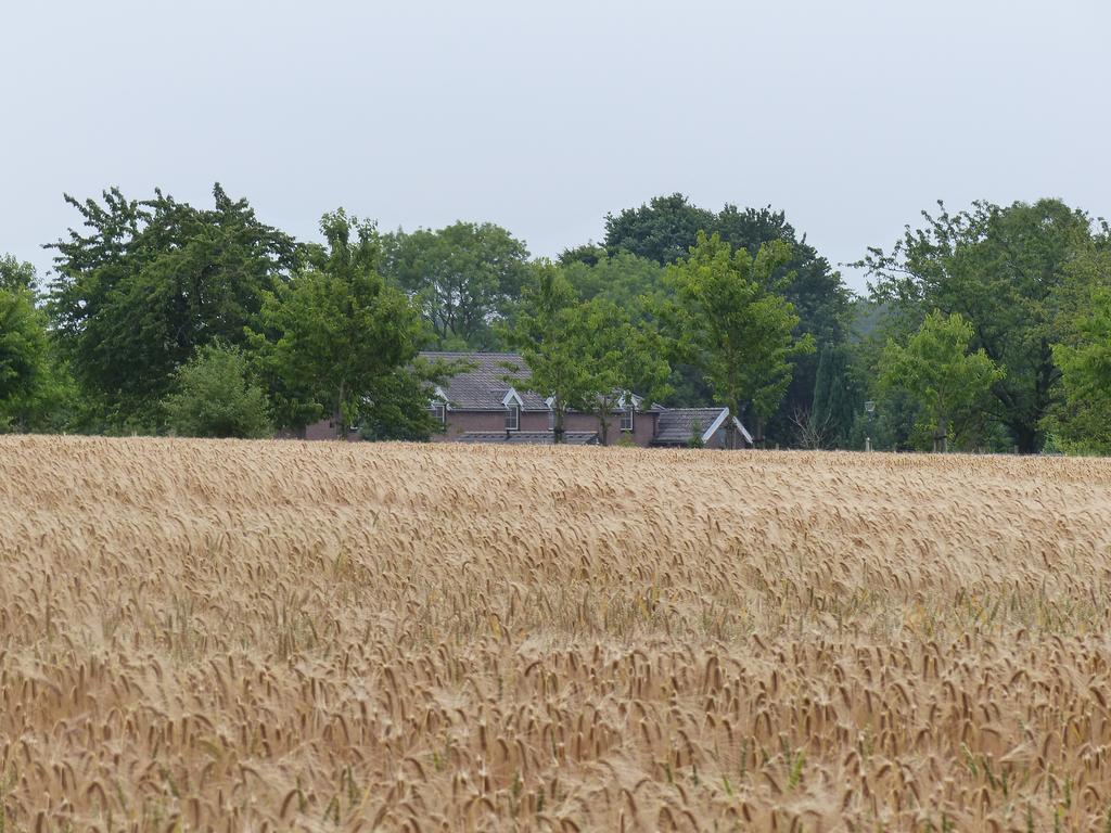 Appartementen De Zegelskoel Heijenrath Exteriör bild